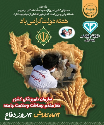 هفته دولت گرامی 